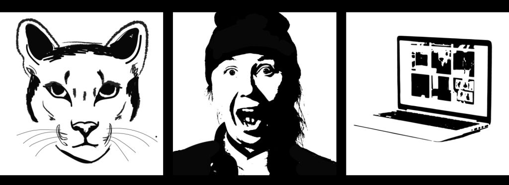 3 pictures: A cougar, a surprised face, and a laptop